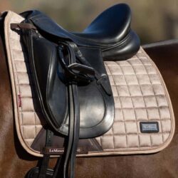 Lemieux - Tapis de dressage Rhone - Prosecco