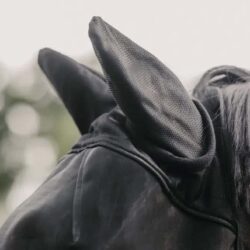 Kentucky - Masque anti mouche avec oreilles - Noir