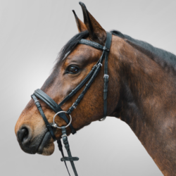 bridon star diamond waldhausen noir