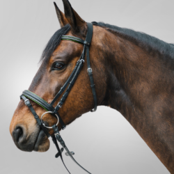 Waldhausen - STAR Bridon Diamond - Vert