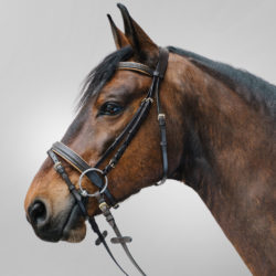 Waldhausen - STAR Bridon Diamond - Marron Or