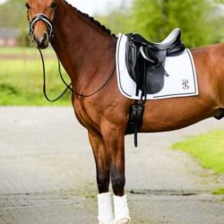 Ps of sweden - Tapis de dressage Elite - Blanc
