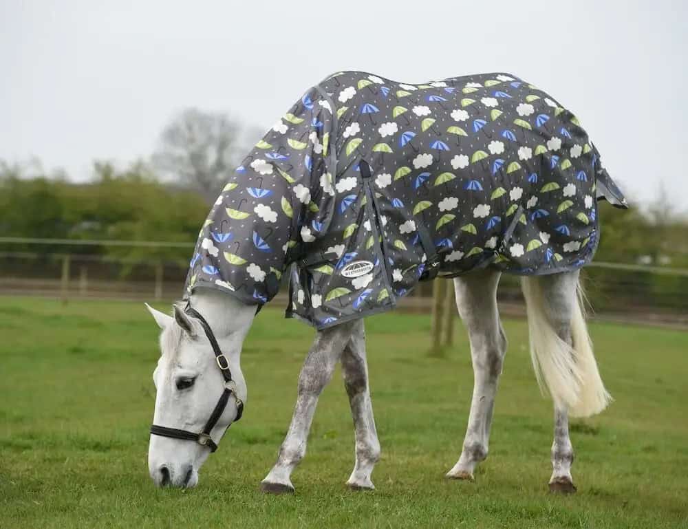 Weatherbeeta - Couverture anti-mouche Comfitec Essential Mesh II Combo Neck - Parapluie Weatherbeeta - Couverture anti-mouche Comfitec Essential Mesh II Combo Neck - Parapluie