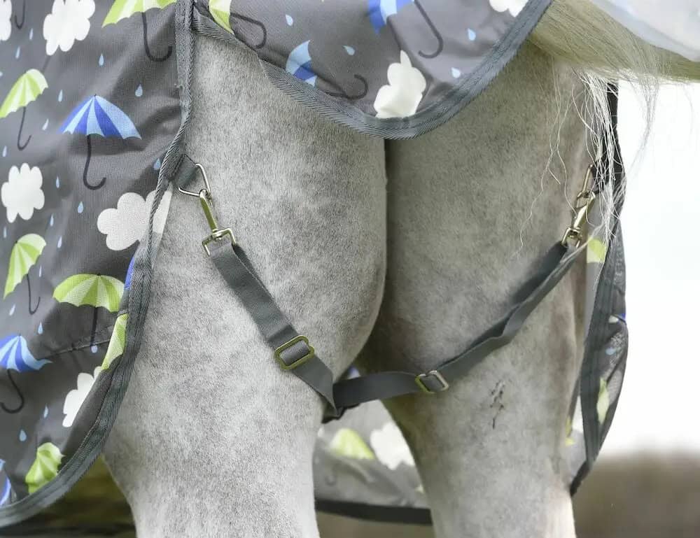 Weatherbeeta - Couverture anti-mouche Comfitec Essential Mesh II Combo Neck - Parapluie Weatherbeeta - Couverture anti-mouche Comfitec Essential Mesh II Combo Neck - Parapluie