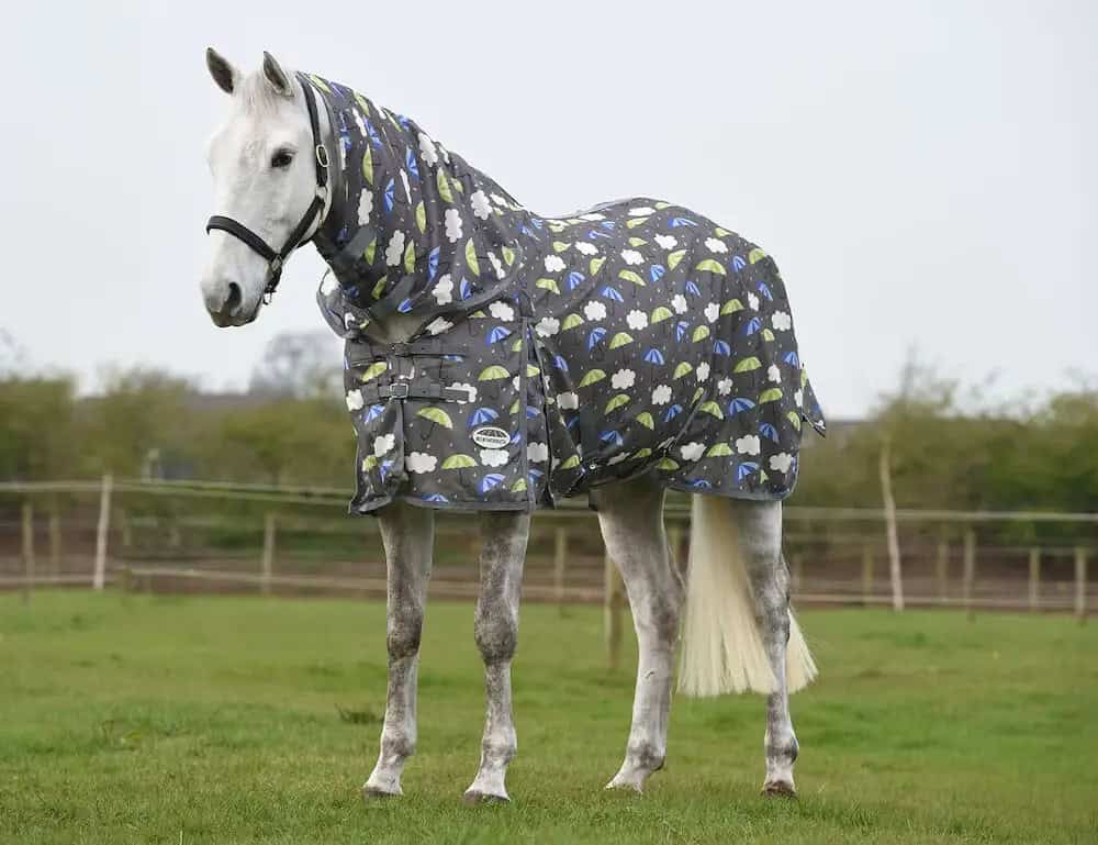 Weatherbeeta - Couverture anti-mouche Comfitec Essential Mesh II Combo Neck - Parapluie Weatherbeeta - Couverture anti-mouche Comfitec Essential Mesh II Combo Neck - Parapluie