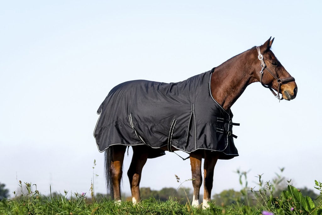 400_894_263_ambi21 (1)