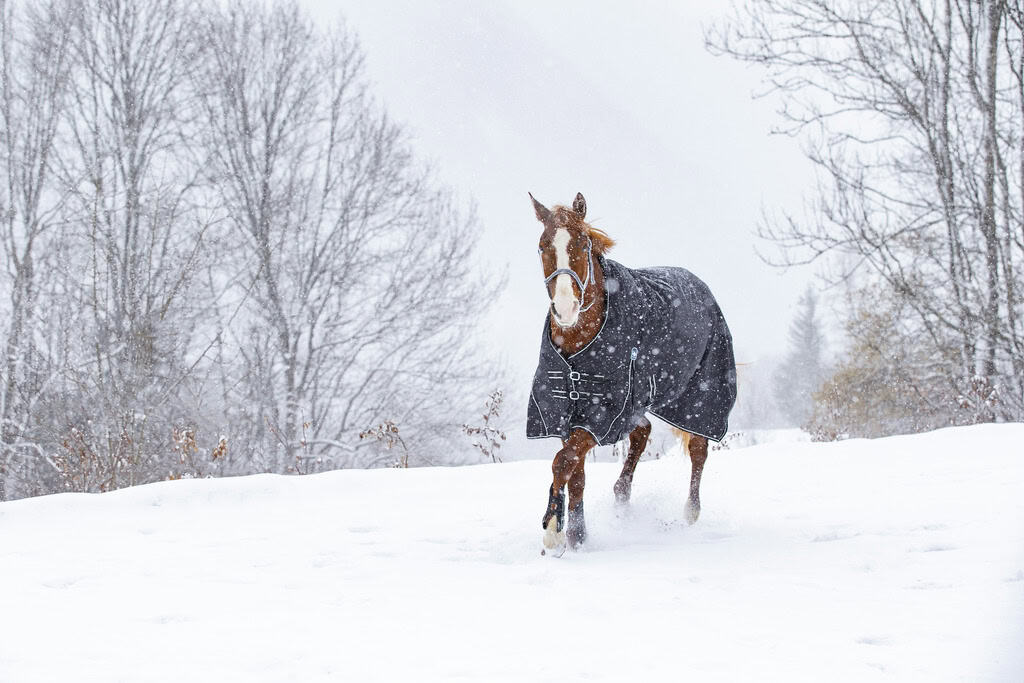 400_894_263_ambiN2 (1)