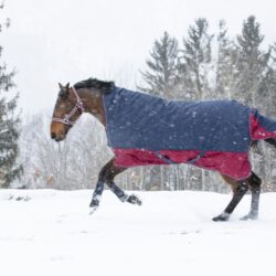 EQUITHÈME - Couverture "TYREX 1200 D" High Neck - Marine Bordeaux 0g