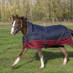 EQUITHÈME - Couverture