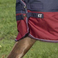 EQUITHÈME - Couverture