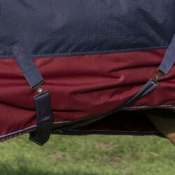 EQUITHÈME - Couverture