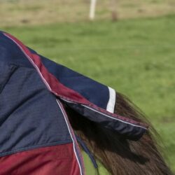 EQUITHÈME - Couverture