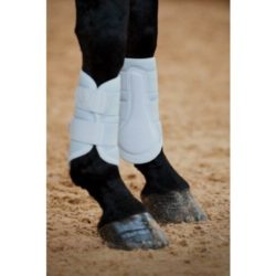 Eskadron - Guêtres mesh Platinium 23 - Powder blue XXS