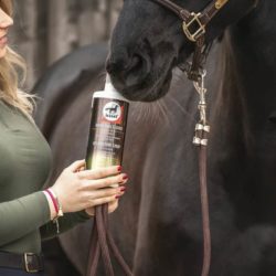 Leovet - Sirop Aliment complémentaire "Elixir Bronches"