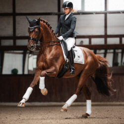 Equestrian Stockholm – Tapis de dressage Timeless White Glimmer
