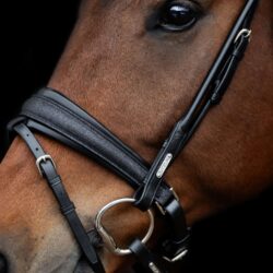 Utzon Equestrian - Bridon dressage Edinburgh Glitter - Noir