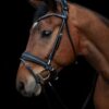 Utzon Equestrian - Bridon dressage Edinburgh Glitter - Noir
