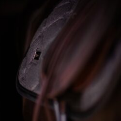 Equestrian Stockholm - Tapis de jumping Purple Glimmer