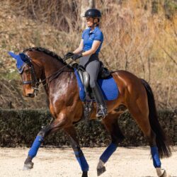 Lemieux - Tapis de dressage en coton - Benetton Blue