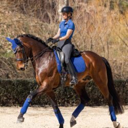 Lemieux - Tapis de dressage en coton - Benetton Blue