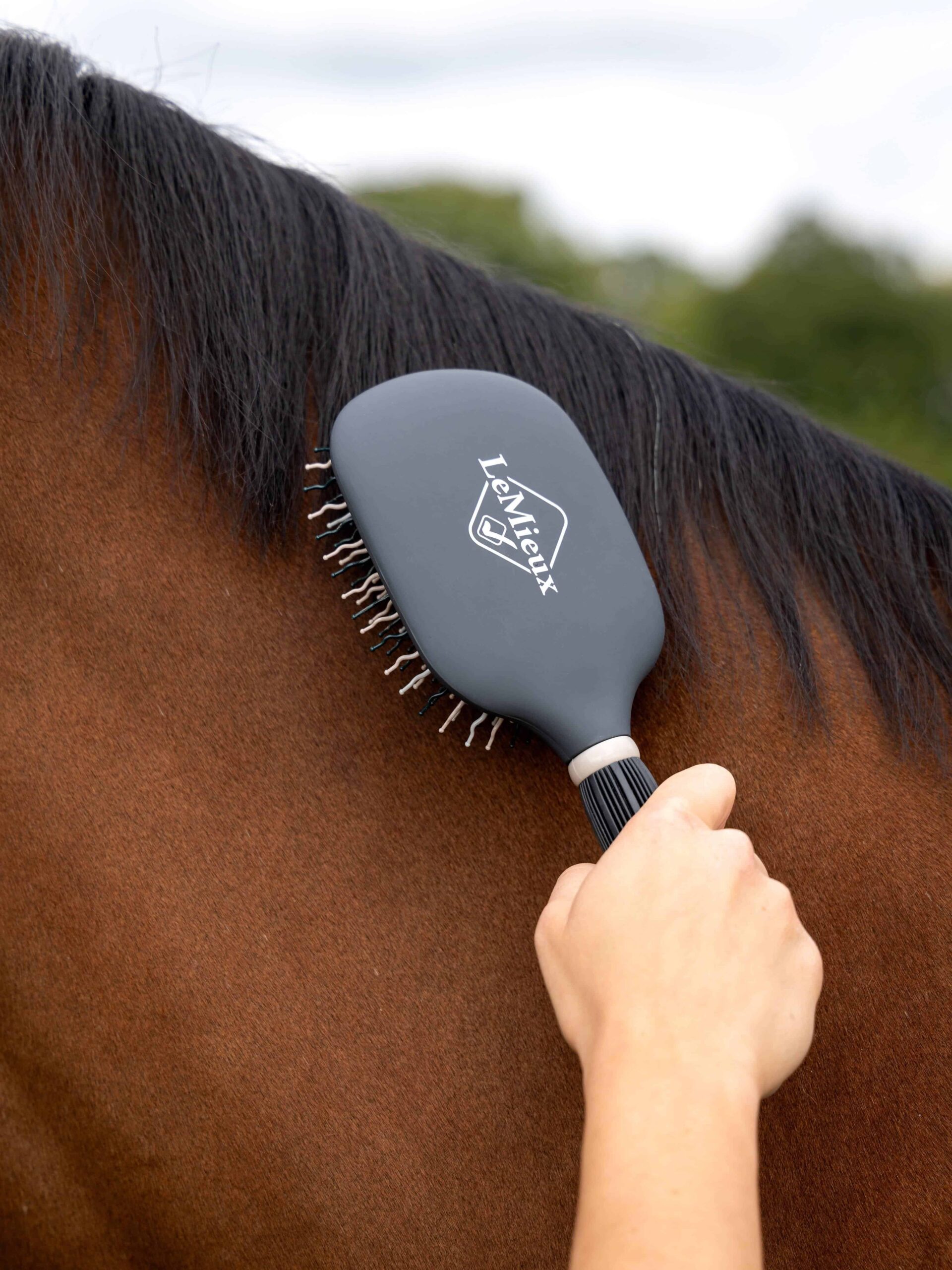 it05310_lifestyle_tangletidy_ash_1