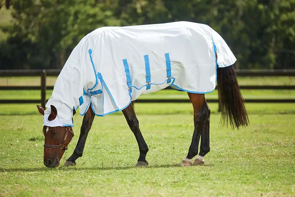 1006209000-WHITEBLUE_WB-Sweet-Itch_Image_Null_Hero (1)