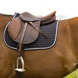 RIDING WORLD - Tapis