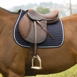 RIDING WORLD - Tapis