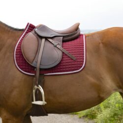 RIDING WORLD - Tapis