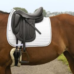 Tapis dressage RIDING WORLD Girly