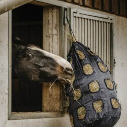 HIPPOTONIC - Sac à foin à trou