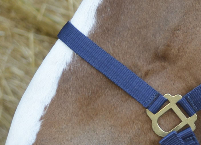 510_032_007_det1 (1)