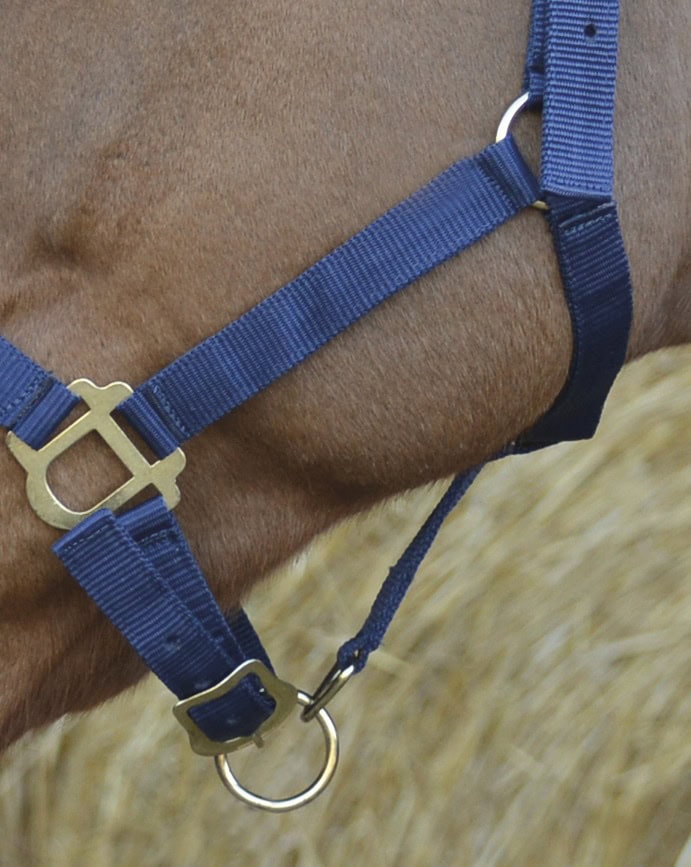 510_032_007_det3 (1)