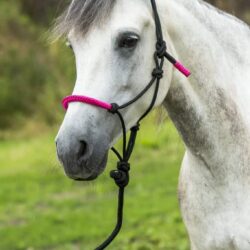 Licol éthologique Norton, Longe Fun Colour