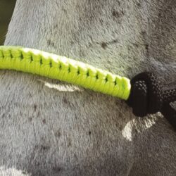 Licol éthologique Norton, Longe Fun Colour