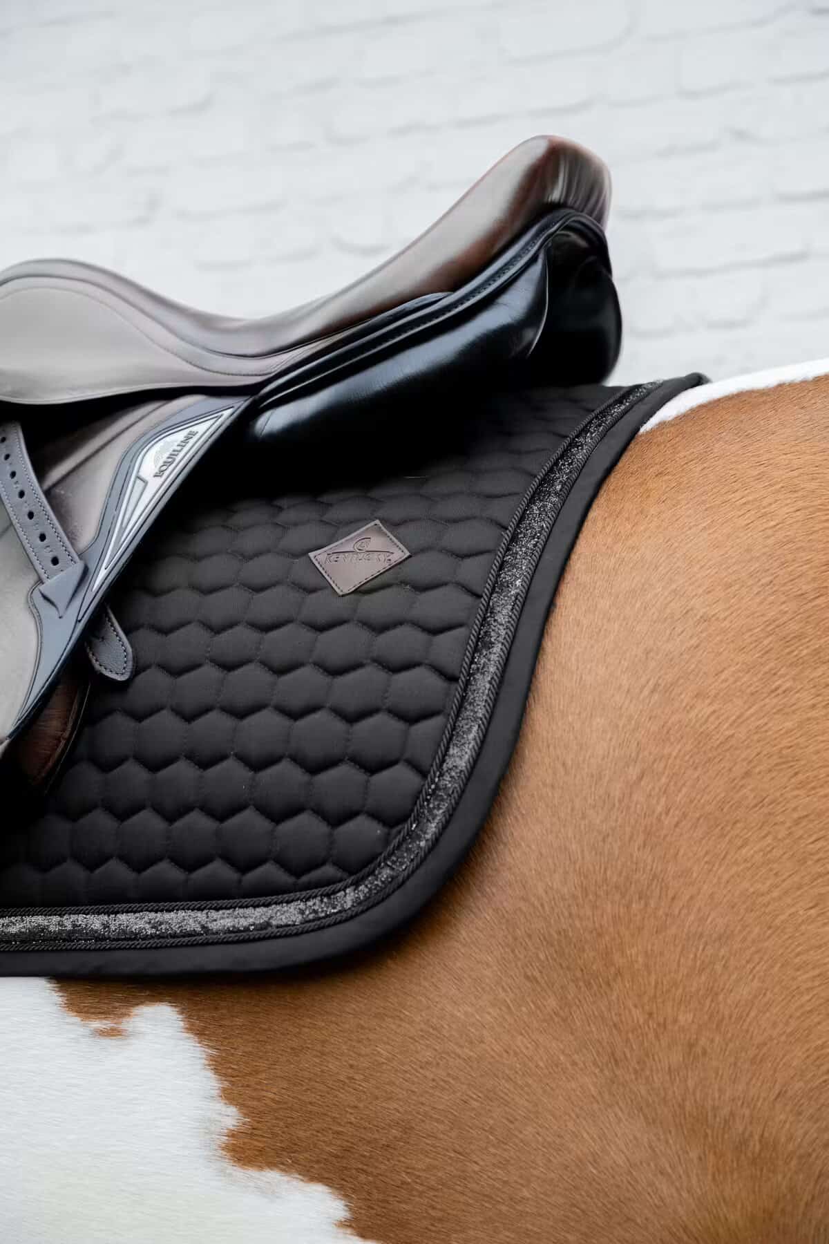 67a0e28b582ff-6666d8d4dc50a8c21aee7647218cd8e13f2e54e6_42730_01_SJ_101