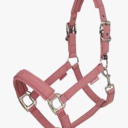 Lemieux - Licol Essence