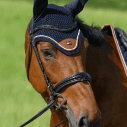 Tommy Hilfiger - Bonnet Princeton - desert sky