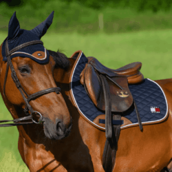 Tommy Hilfiger - Bonnet Princeton - desert sky