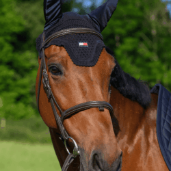 Tommy Hilfiger - Bonnet Lexington - desert sky