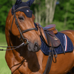 Tommy Hilfiger - Bonnet Lexington - desert sky