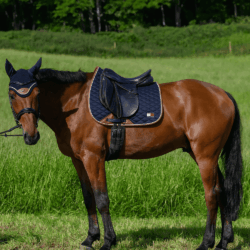 Tommy Hilfiger - Tapis de dressage Princeton - desert sky