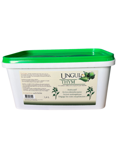 thym-ungula