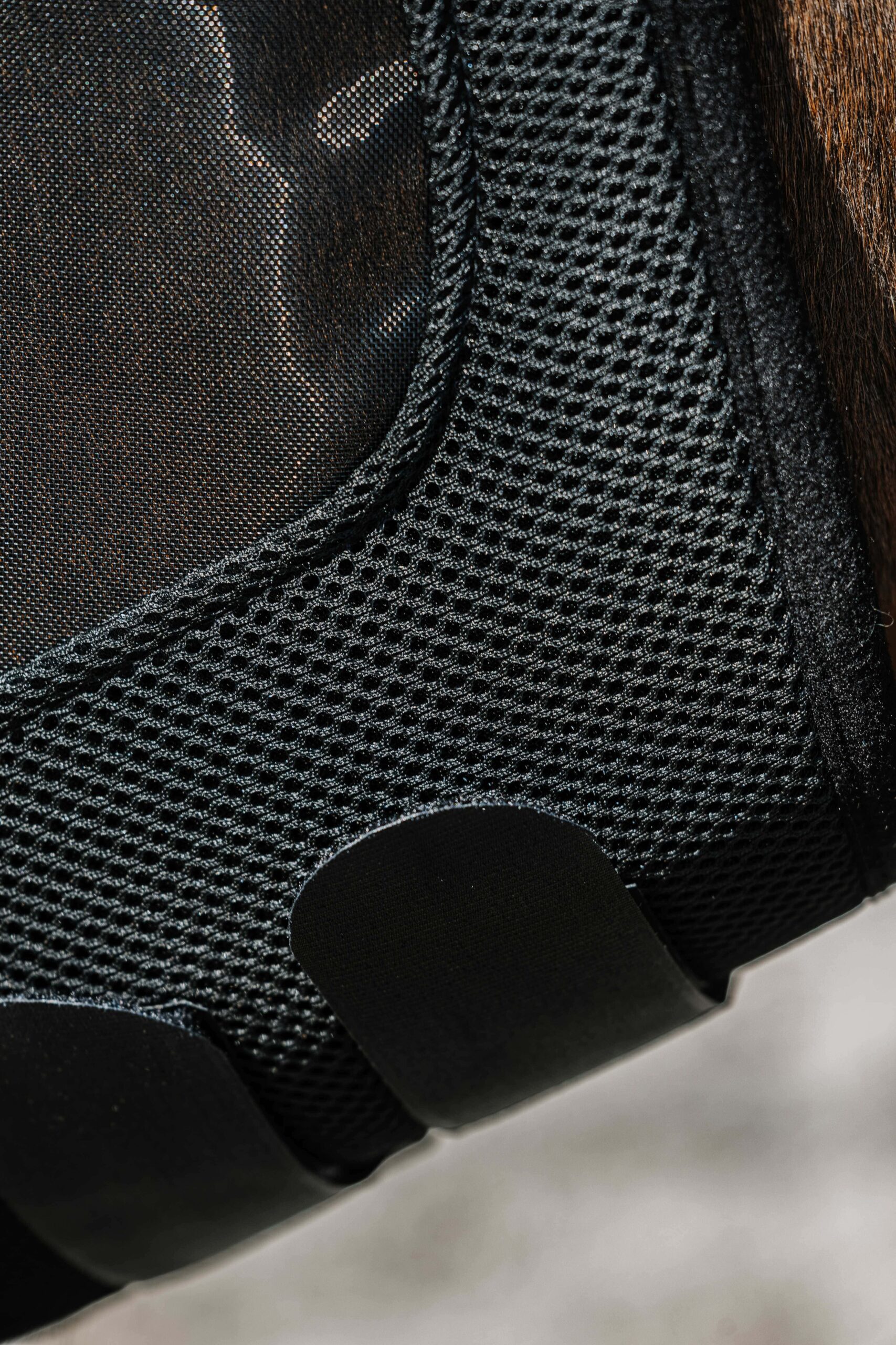 masque Mesh EQUITHÈME seul, sur fond neutre