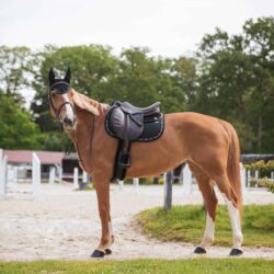 Tapis GEM Mesh Obstacle Noir Silver – technique et élégant