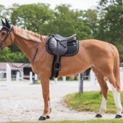 Tapis GEM Mesh Obstacle Noir Silver – technique et élégant