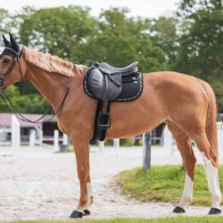 Tapis GEM Mesh Obstacle Noir Silver – technique et élégant