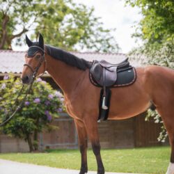 Tapis GEM Mesh Obstacle Noir Corail – respirant et moderne