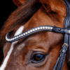 browband cheval cuir noir cristaux