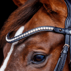 browband cheval cuir noir cristaux